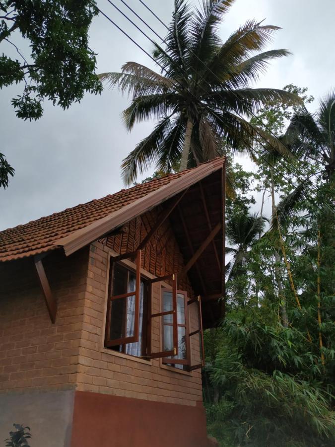 Cinnamon Village Sinharaja Deniyaya Exterior photo