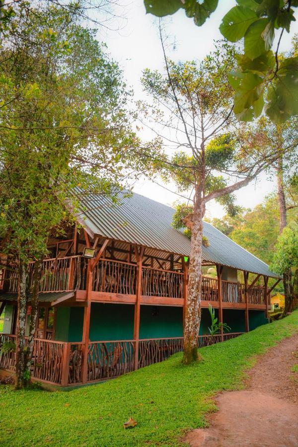 Cinnamon Village Sinharaja Deniyaya Exterior photo