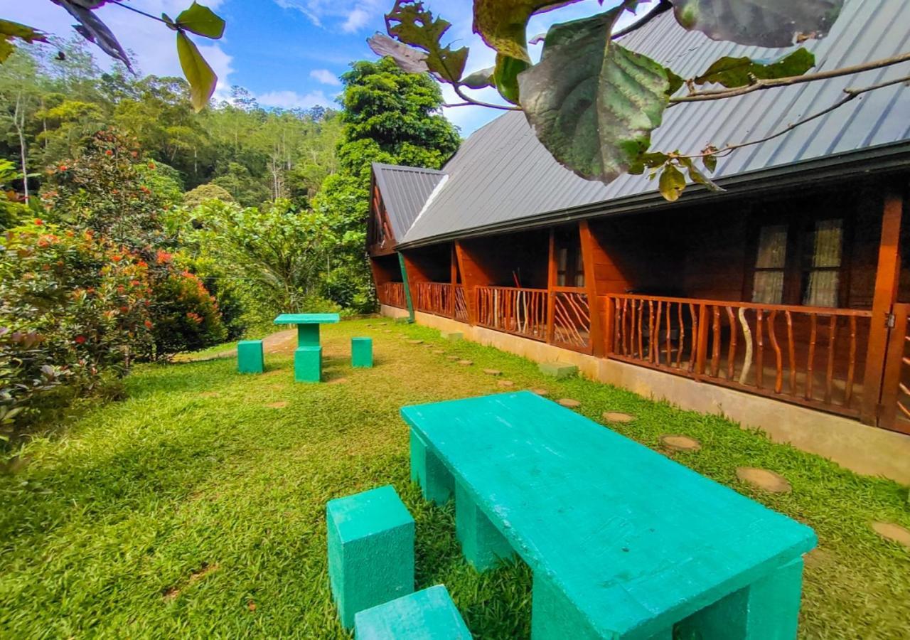 Cinnamon Village Sinharaja Deniyaya Exterior photo