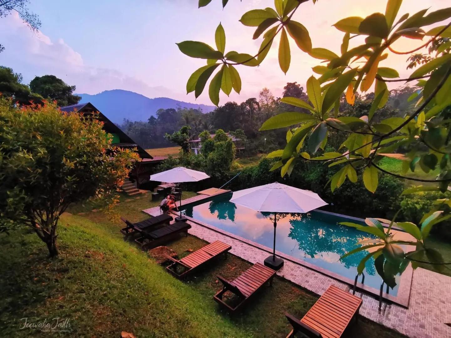 Cinnamon Village Sinharaja Deniyaya Exterior photo