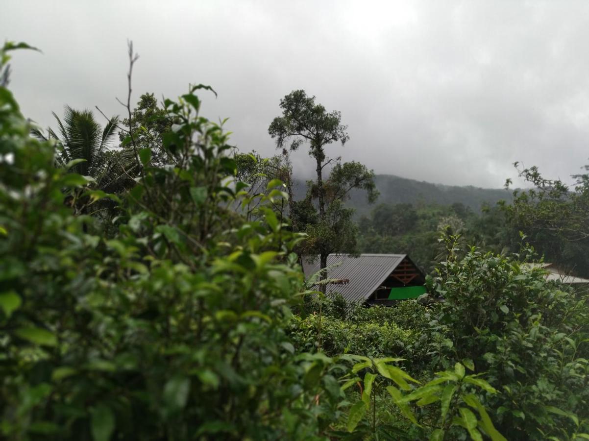 Cinnamon Village Sinharaja Deniyaya Exterior photo
